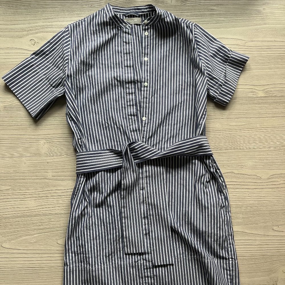 Everlane Shirt Dress (Medium)